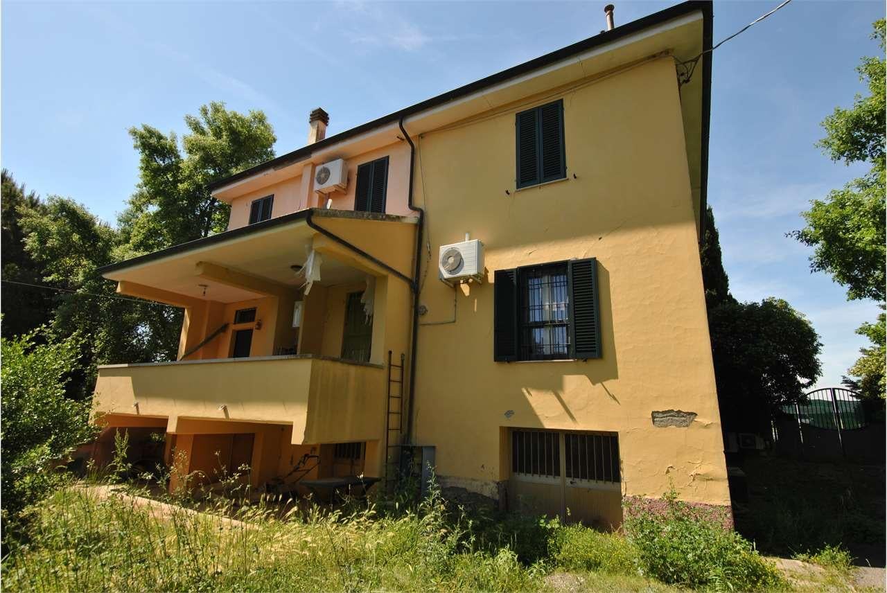 Vendita vendita, Cecina foto