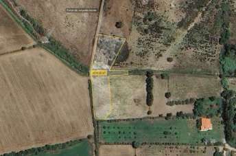 Vendita vendita, Siniscola Vendita vendita, Siniscola