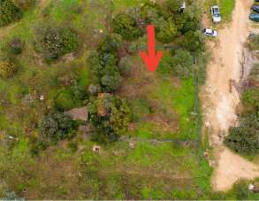 Vendita vendita, Siniscola Vendita vendita, Siniscola