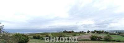 Vendita Locali commerciali, Magliano in Toscana