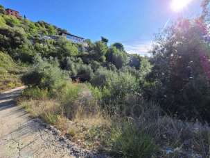 Vendita Pentavani, Camporosso Vendita Pentavani, Camporosso