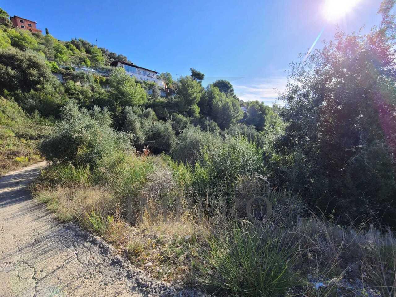 Vendita Pentavani, Camporosso foto