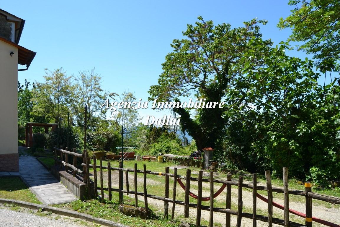 Vendita Rustico / Casale, Scarperia e San Piero foto