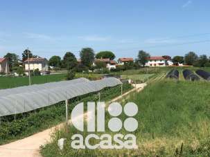 Vendita Terreno Agricolo, Cesenatico Vendita Terreno Agricolo, Cesenatico