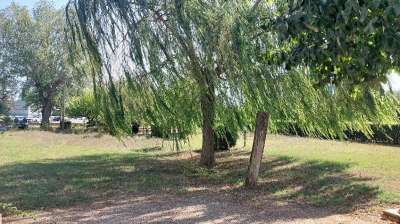 Vendita Esavani, Empoli