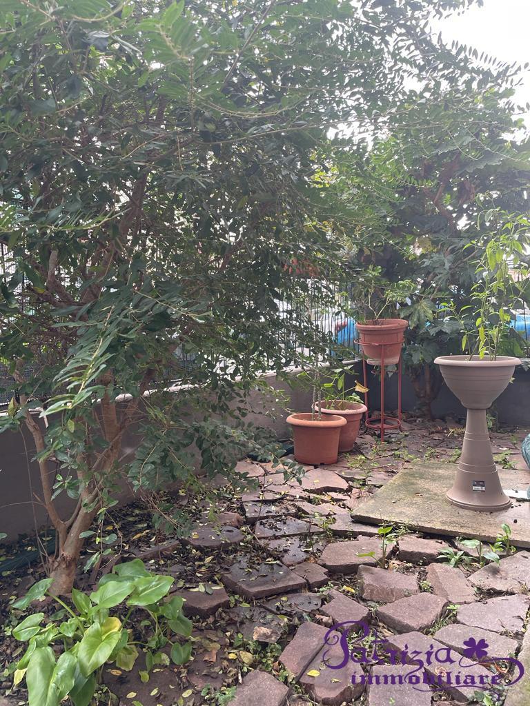 Verkauf Esavani, Prato foto