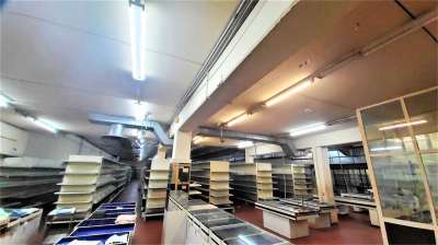 Affitto affitto, Modena