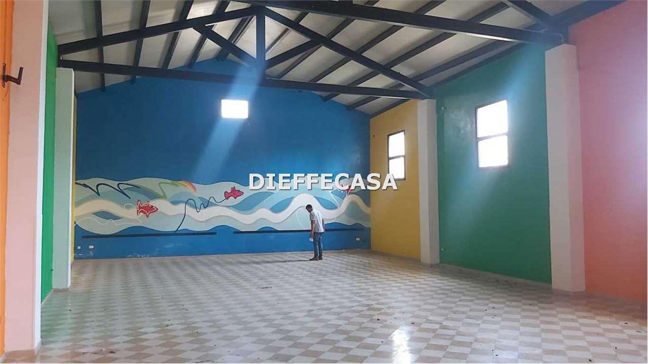 Affitto affitto, Marsala foto