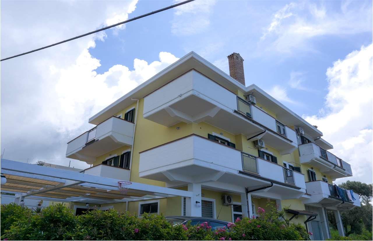 Vendita vendita, Belvedere Marittimo foto