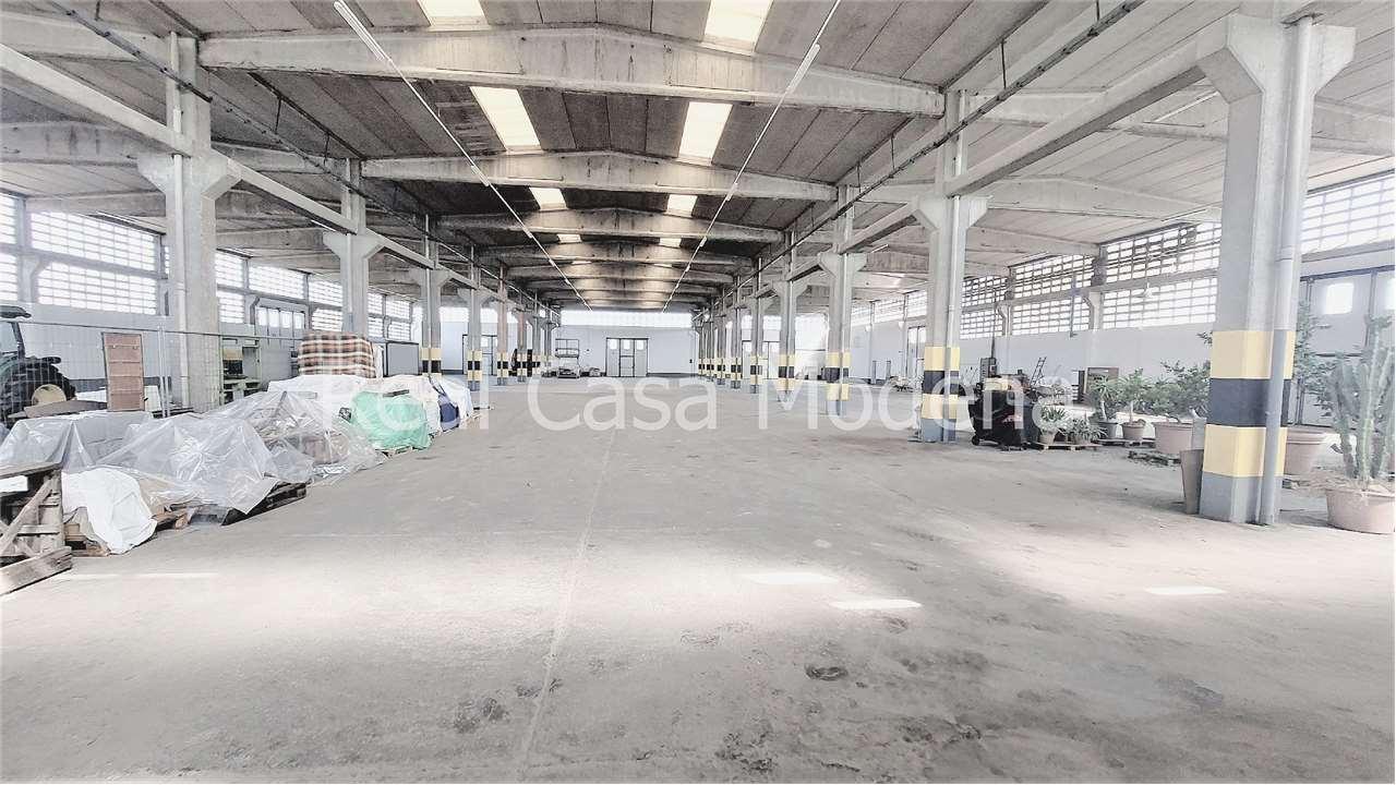 Vendita vendita, Modena foto