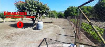 Vendita vendita, Nola Vendita vendita, Nola