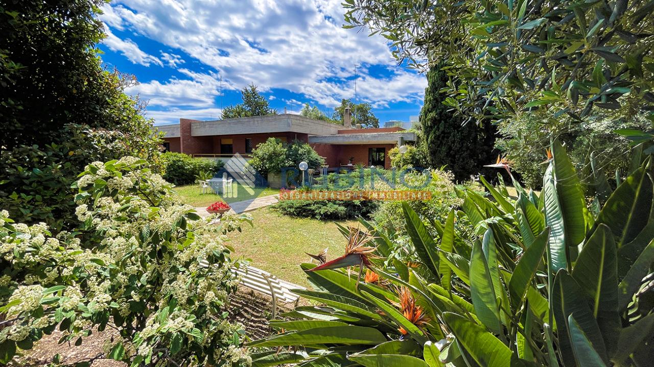 Vendita Pentavani, Bari foto