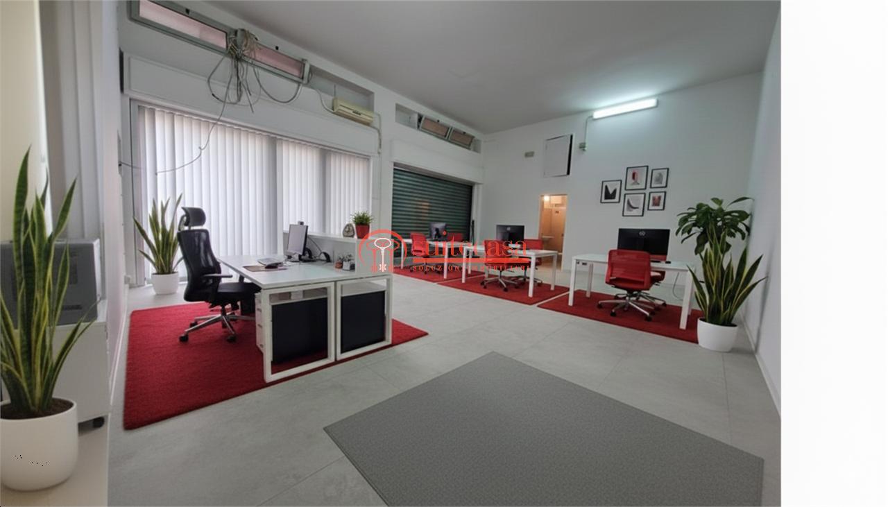 Affitto affitto, Trani foto