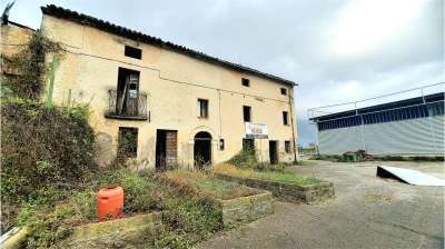 Vendita vendita, Sora Vendita vendita, Sora