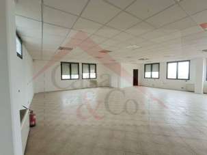 Vendita vendita, Modena