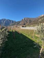 Vendita Terreno Commerciale, Avio