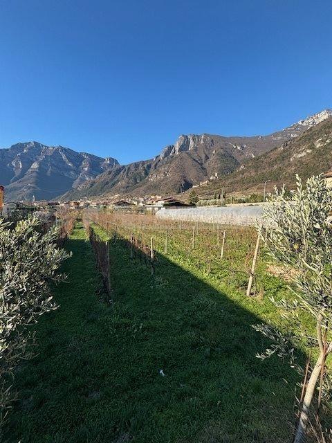 Vendita Terreno Commerciale, Avio foto