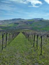 Vendita Monovano, Montefiore dell'Aso