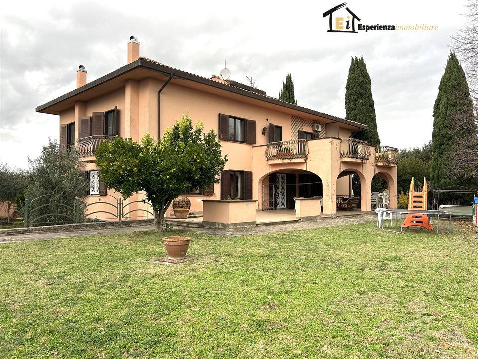 Vendita Multivani, Calvi dell'Umbria foto