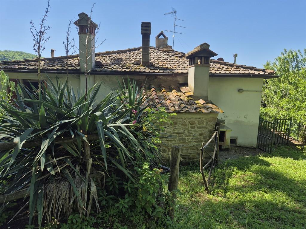 Verkauf Rustico / Casale, Vicchio foto