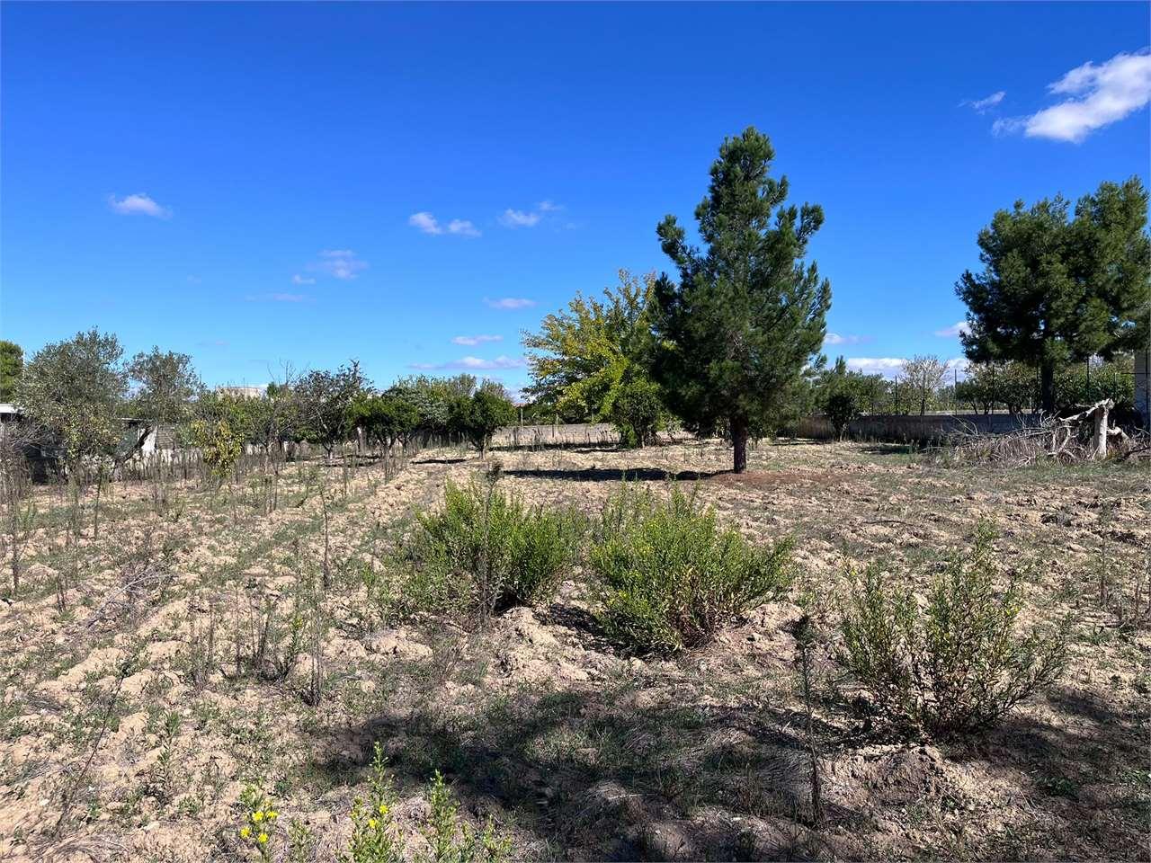 Vendita vendita, Francavilla Fontana foto