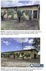 Verkauf Trivani, Latina