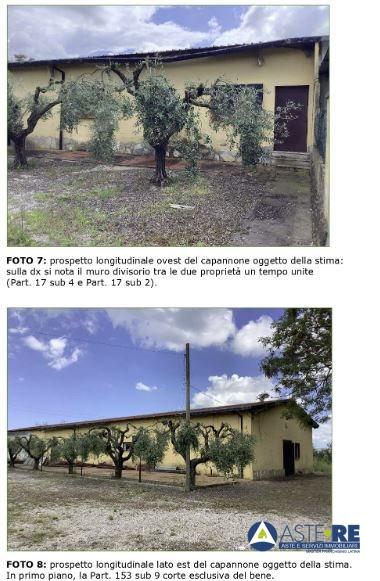 Vendita Trivani, Latina foto