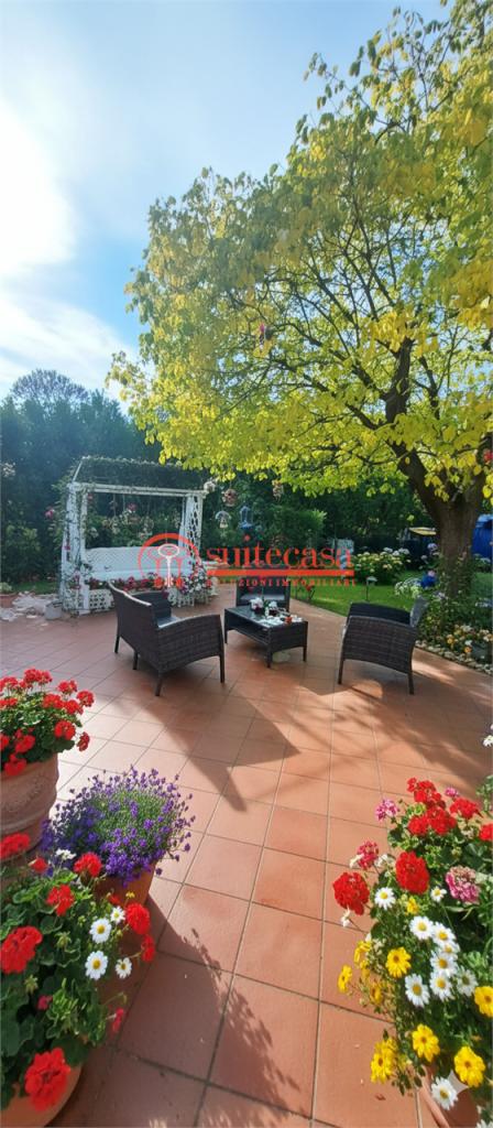 Vendita vendita, Trani foto