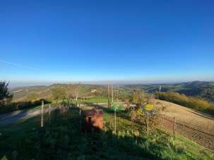 Vendita Eptavani, Medesano