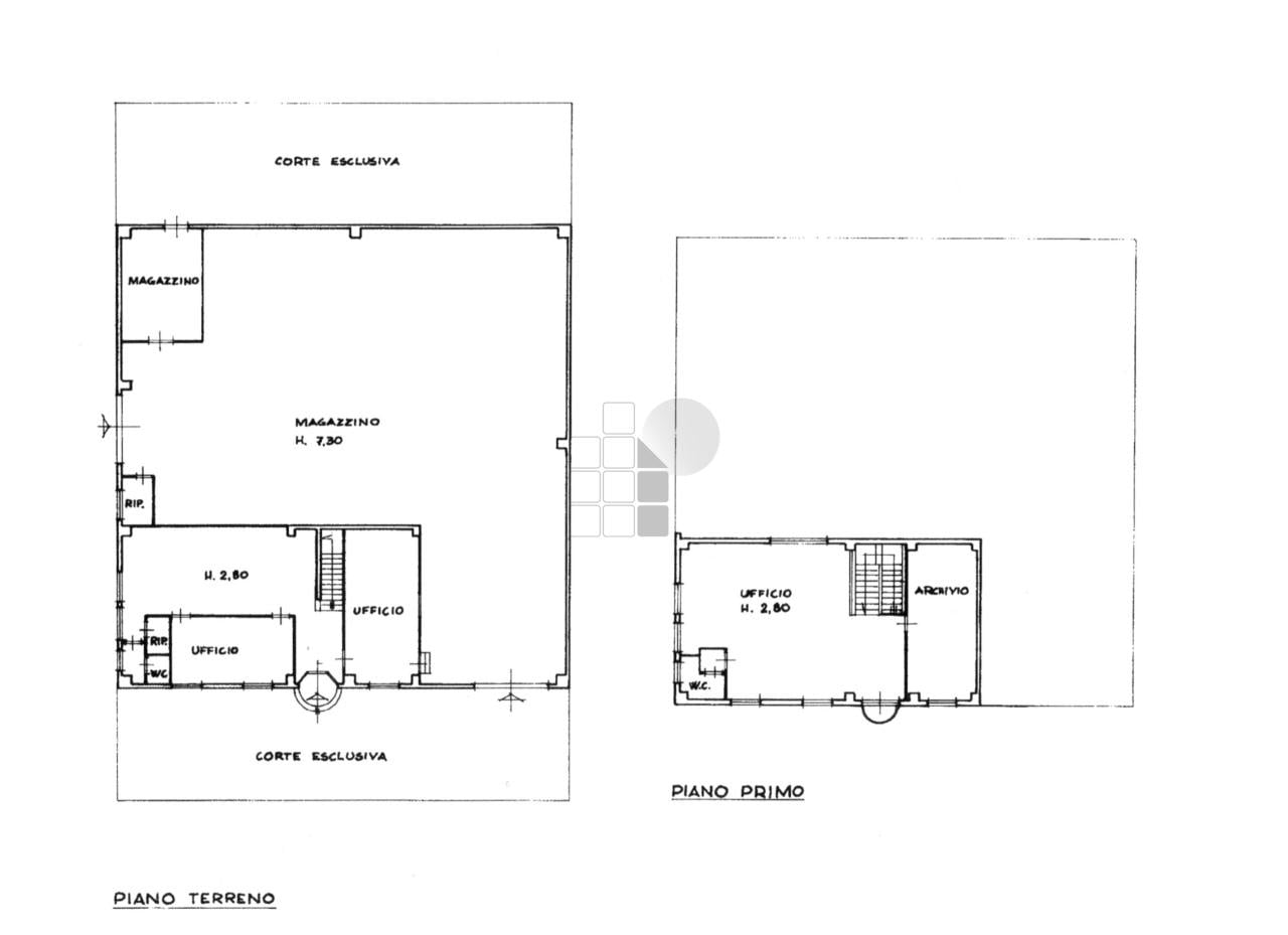 Affitto D, Livorno foto
