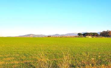 Vendita Monovano, Tarquinia Vendita Monovano, Tarquinia