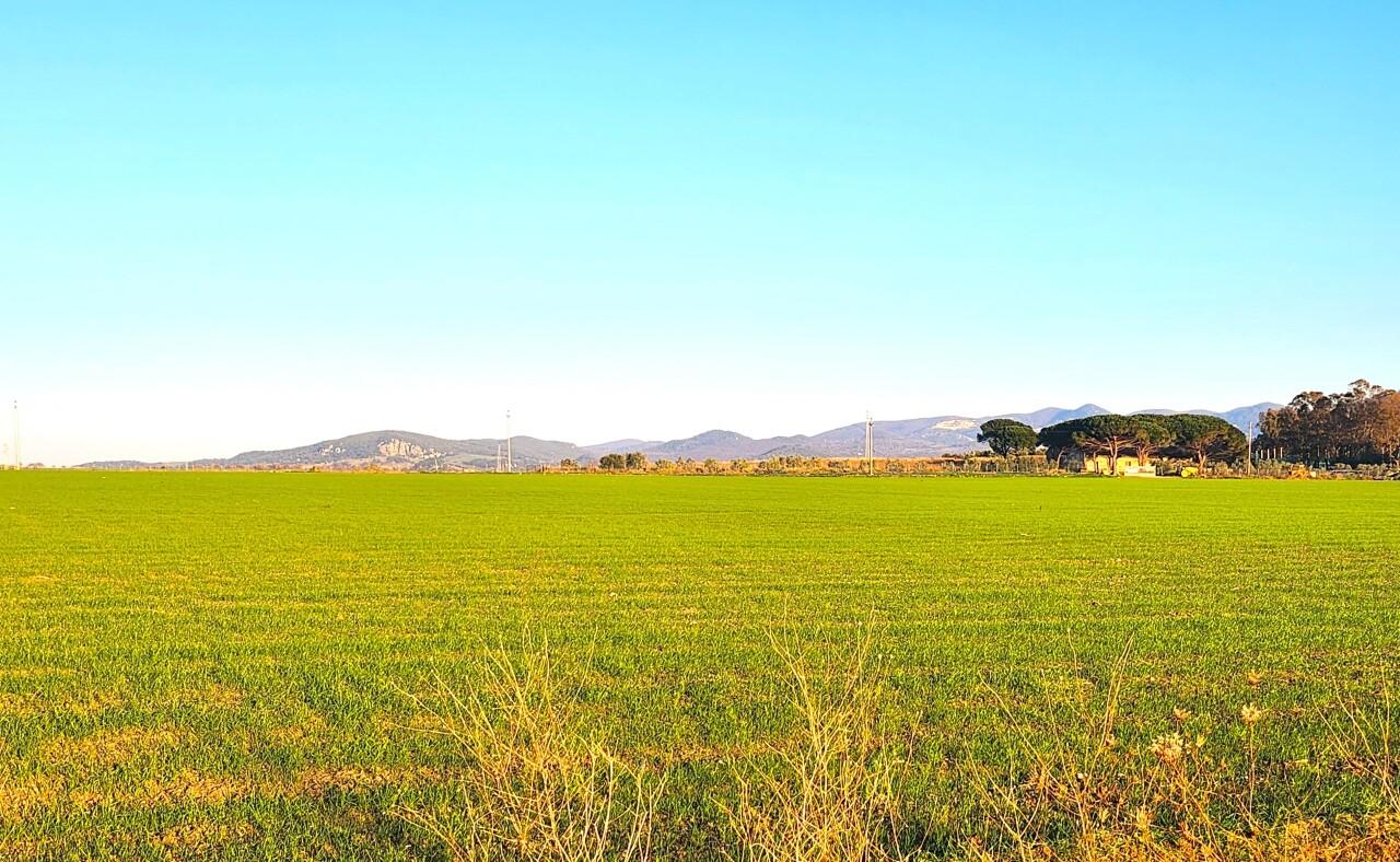 Vendita Monovano, Tarquinia foto