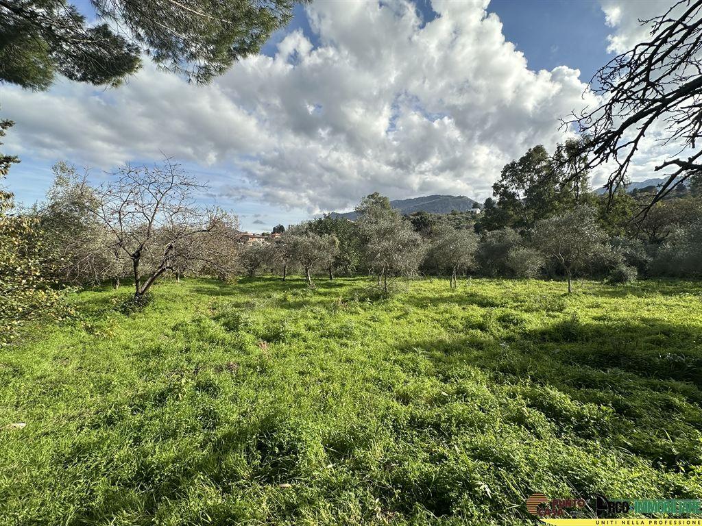 Vendita Villa, Monreale foto