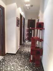 Verkauf Appartamento, Asti Verkauf Appartamento, Asti