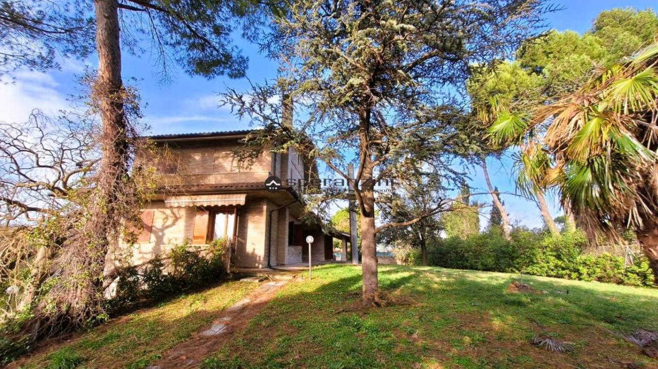 Vendita Pentavani, Fano foto