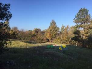 Verkauf Zimmer, Medesano