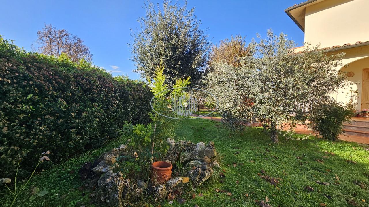 Vendita Multivani, Figline e Incisa Valdarno foto