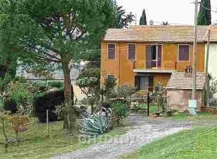 Vendita Multivani, Cinigiano