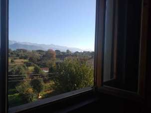 Vendita Esavani, Ameglia Vendita Esavani, Ameglia