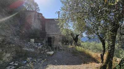 Verkauf Trivani, Airole