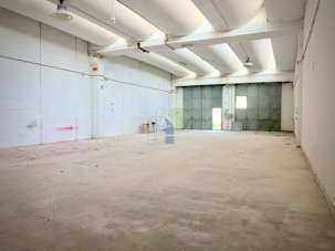 Vendita D, Livorno Vendita D, Livorno