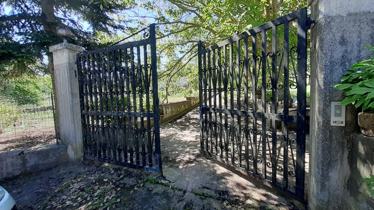 Vendita Trivani, Noto foto