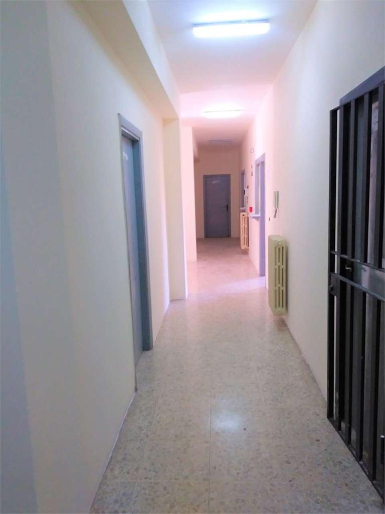 Affitto affitto, Frosinone foto