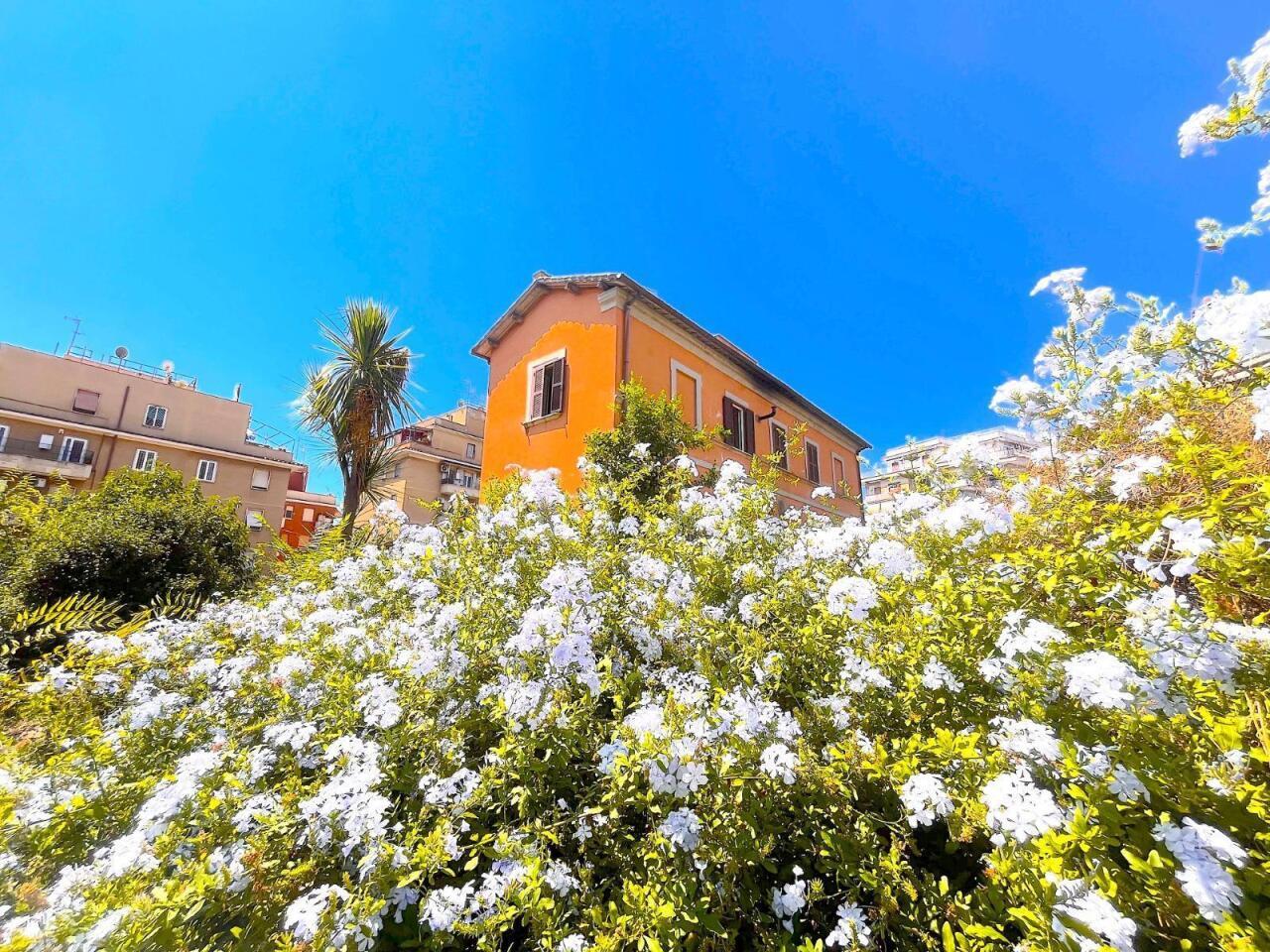 Vendita Esavani, Roma foto