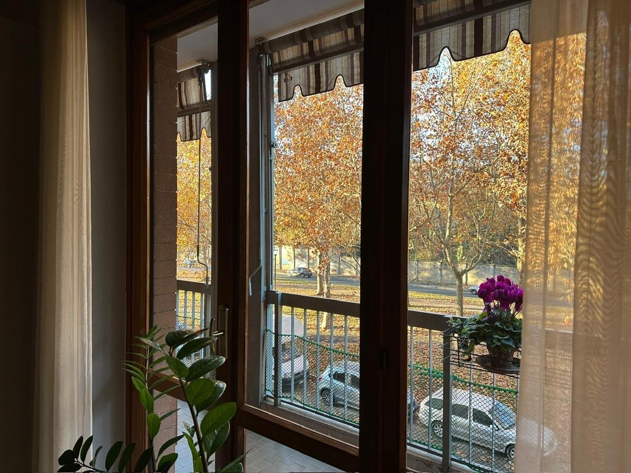 Vendita Multivani, Torino foto