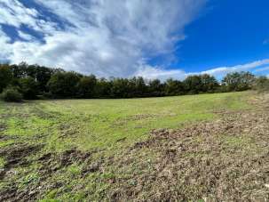 Verkauf Andere eigenschaften, Sorano