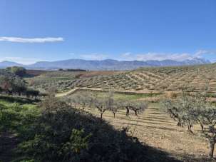 Vendita Loft, mansarde e attici, Loreto Aprutino