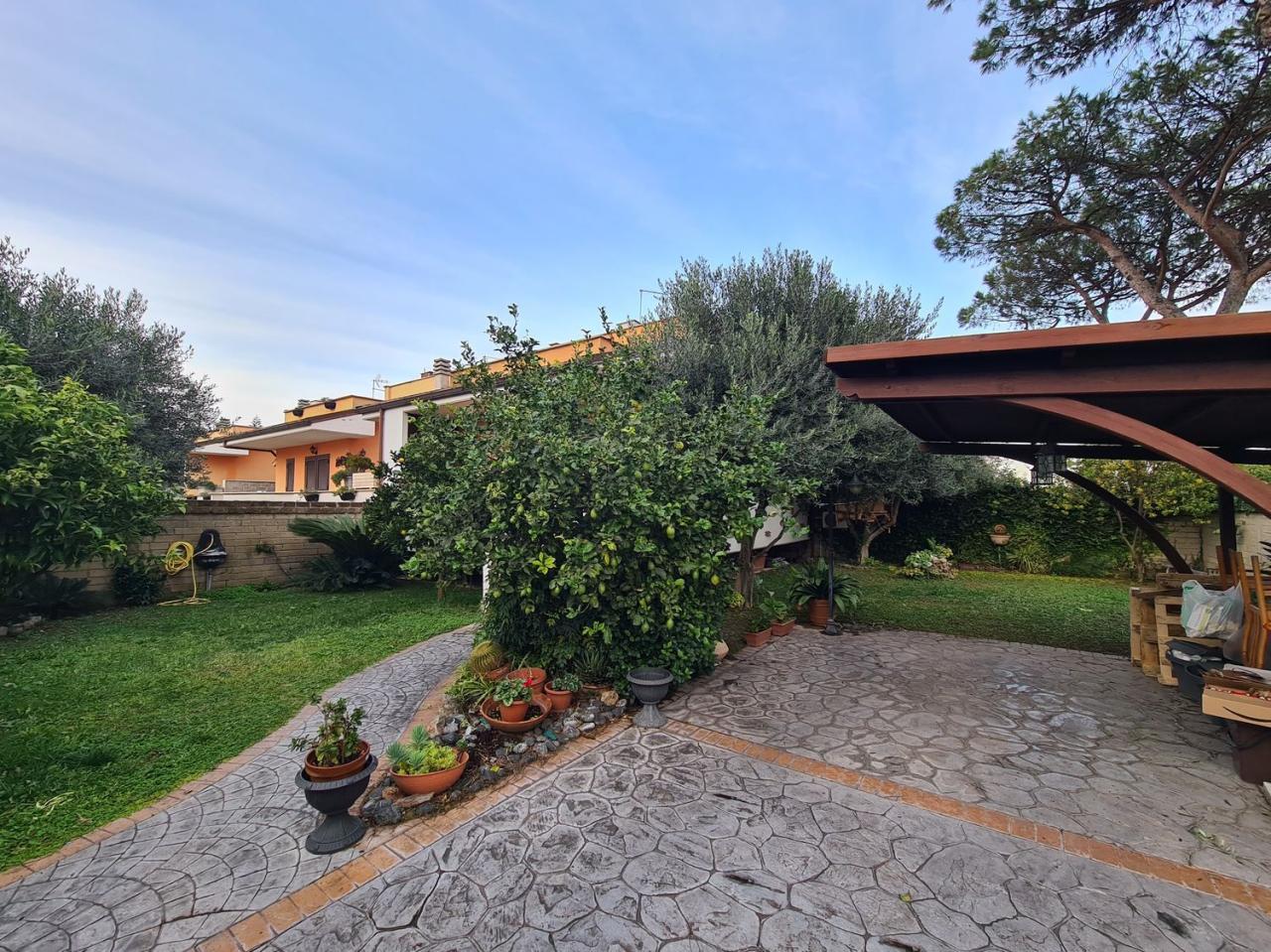 Vendita Bivani, Fiumicino foto