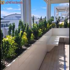 Vendita Attico, Lissone