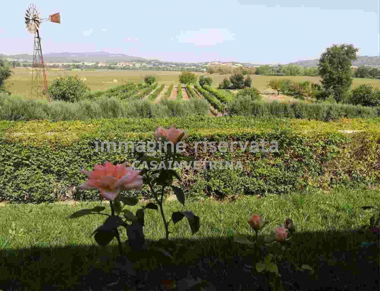 Venta Villa, Campagnatico foto